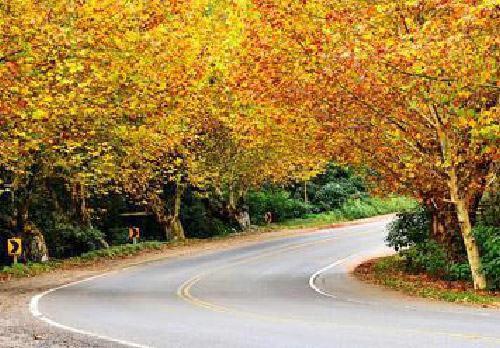 As 4 melhores rotas para sua viagem de moto